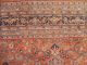 Orientteppich Keshan Indien Teppich Wollteppich 240 X 355 Cm Erbe Teppiche & Flachgewebe Bild 2