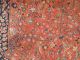 Orientteppich Keshan Indien Teppich Wollteppich 240 X 355 Cm Erbe Teppiche & Flachgewebe Bild 3