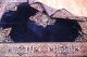 Handgeknüpfter Saruqh Mir Orient Top Nain Teppich Old Rug Carpet 280x185cm Teppiche & Flachgewebe Bild 2