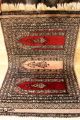 Signierter Buchara 95x64 Cm Orient Teppich Carpet Tappeto Tapis Afghan 3446 Rug Teppiche & Flachgewebe Bild 1