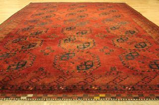 Alter Antik Afghan Ersari 330x235 Cm Orient Teppich Carpet Tappeto Afghan 3411 Bild