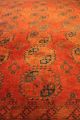Alter Antik Afghan Ersari 330x235 Cm Orient Teppich Carpet Tappeto Afghan 3411 Teppiche & Flachgewebe Bild 3