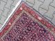 Alter /antiker,  Handgeknüpfter Kurdenteppich Teppiche & Flachgewebe Bild 9