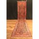 Wunderschöner Antiker Handgeknüpfter Xxl Orientteppich Läufer Herati 115x505cm Teppiche & Flachgewebe Bild 3