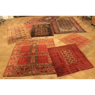 Sammler Auflösung Acht Antike Orientteppich Belutsch Afghan Tetex Jomut Old Rugs Bild