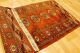 Feiner Buchara 140x75cm Orient Teppich Carpet Tappeto Tapis Afghan 3426 Rug Teppiche & Flachgewebe Bild 2