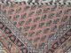 Wunderschöner Handgeknüpfter Orientteppich Mir (246x167) Teppiche & Flachgewebe Bild 8