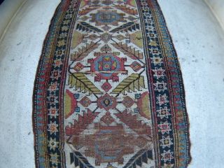 Antiker Kaukasiche Teppich Kasak - W/w - 19jh Maße - 320x118cm Bild