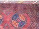 Antikerafganlstan Ersari Teppich1920 Maße - 370 X240cm Teppiche & Flachgewebe Bild 4