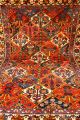 Alter Felder Bilder Bachtiar 205x155cm Orient Teppich Tappeto Carpet Rug 3369 Teppiche & Flachgewebe Bild 3