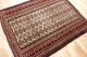 70 - 80 Jahre Antiker Tekke Yomouth Beshir Kazak Teppich Rug Carpet 178x118cm Teppiche & Flachgewebe Bild 1