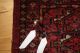 Antiker Turkmenischer Tschowal,  115 X 76 Teppiche & Flachgewebe Bild 11