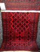 Echte Handgeküpfte - Afghanteppich Top / Ware - Tappeto - Tapis,  Rug Teppiche & Flachgewebe Bild 3