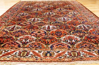 Alter Felder Bilder Bachtiar 310x210cm Orient Teppich Tappeto Carpet Rug 3338 Bild