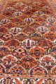 Alter Felder Bilder Bachtiar 310x210cm Orient Teppich Tappeto Carpet Rug 3338 Teppiche & Flachgewebe Bild 3