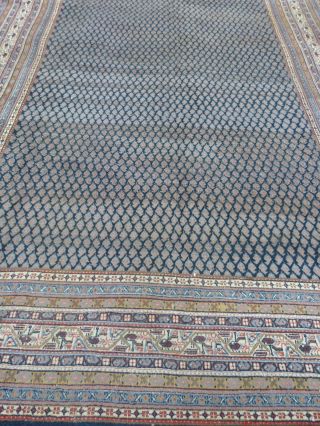 Orientteppich Sarughmir Aus Indien Bild
