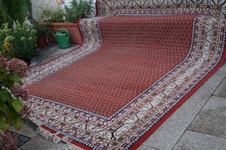 Orient Teppich S.  Mir Indien 339 X 250 Cm Rot Gemustert Wolle Bild