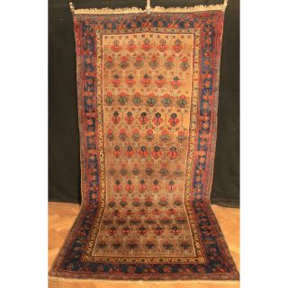 Selten Schöner Antiker Handgeknüpfter Perser Teppich Bachtiari 150x330cm Tappeto Bild