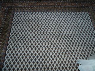 Teppich Indien Sarough Mir Braun - Beige - Blau,  Schwere Qualität,  2,  45 X 3,  10 M Bild
