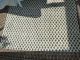 Teppich Indien Sarough Mir Braun - Beige - Blau,  Schwere Qualität,  2,  45 X 3,  10 M Teppiche & Flachgewebe Bild 4