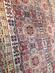 Orientteppich,  Teppich,  Rug,  Khotan Antik 280x175 Teppiche & Flachgewebe Bild 5