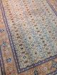 Orientteppich,  Rug,  Teppich Ind.  Mahi 245x175 Teppiche & Flachgewebe Bild 1