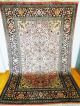 Königlicher Handgeknüpfter Kaschmirseide Palast Teppich Rug Tappeto Tapies,  Silk Teppiche & Flachgewebe Bild 6