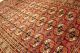 70 - 80 Jahre Antiker Tekke Yomouth Khamsee Kazak Teppich Rug Carpet 178x118cm Teppiche & Flachgewebe Bild 3
