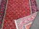 Teppich Handgeknüpft Belutch - Kazak - Kaukasisch 186x120 Cm Carpet Tappeto Tapis Teppiche & Flachgewebe Bild 8