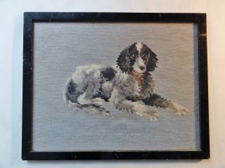 Antik Gobelin - Bild Um 1930 - Hund: Cocker Spaniel - Mit Rahmen Bild