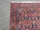 Antiker Malayer Teppich Aus Persien 218 X 148 Cm Schöne Farben Und Muster Teppiche & Flachgewebe Bild 4