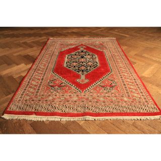 Feiner Handgeknüpfter Orientteppich Buchara Teppich Tappeto Carpet 120x180cm Rug Bild