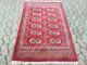 HandgeknÜpfter Bochara Orientteppich Pakistan 154 X 99 Cm Sehr Gute Teppiche & Flachgewebe Bild 1
