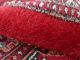 HandgeknÜpfter Bochara Orientteppich Pakistan 154 X 99 Cm Sehr Gute Teppiche & Flachgewebe Bild 3