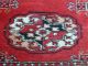 HandgeknÜpfter Bochara Orientteppich Pakistan 154 X 99 Cm Sehr Gute Teppiche & Flachgewebe Bild 4