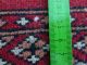 HandgeknÜpfter Bochara Orientteppich Pakistan 154 X 99 Cm Sehr Gute Teppiche & Flachgewebe Bild 6