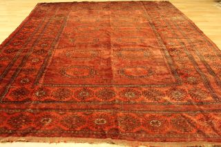 Alter Afghan Buchara 302x220cm Orient Teppich Carpet Tappeto Tapis Rug 3269 Bild