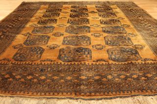 Alter Gold Afghan Buchara 320x245cm Orient Teppich Carpet Tappeto Afghan 3265 Bild