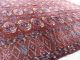 Antikerturkmenische Teke Teppich19jh Maße - 282 X266cm Teppiche & Flachgewebe Bild 4