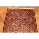 Edeler Handgeknüpfter Perser Orientteppich Herati Muster Korkwolle 80x150cm Top Teppiche & Flachgewebe Bild 5