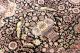 Palast Seidenteppich Blumen Kaschmir Seide Gereinigt Teppich Silk Rug 425x305cm Teppiche & Flachgewebe Bild 3