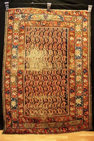 80 - 90 Jahre Antiker Us Malayer / Kazak Kurde Orient Teppich Rug Carpet 214x144cm Bild