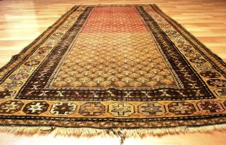 80 - 90 Jahre Antiker Us Malayer / Kazak Kurde Orient Teppich Rug Carpet 235x105cm Bild
