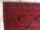 Turkmenischer Teppich Afghan 335 X 274 Ca.  70 J.  Alt Mobiliar vor 1900 Bild 1
