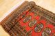 Feiner Buchara Läufer 310x85 Cm Orient Teppich Carpet Tappeto Tapis Afghan 3145 Teppiche & Flachgewebe Bild 3