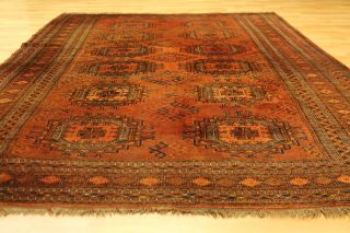 Alter Afghan 265x182cm Orient Teppich Carpet Tappeto Tapis Buchara 3197 Jomut Bild