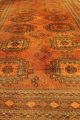 Alter Afghan 265x182cm Orient Teppich Carpet Tappeto Tapis Buchara 3197 Jomut Teppiche & Flachgewebe Bild 5