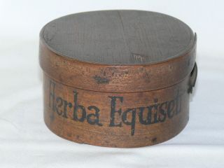 Apotheke Antik,  Shaker Box Spandose Herba Equiseti,  Rarum,  Um 1840 Bild