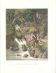 Forellenfischer,  Bad Gastein,  Kolorierte Lithographie,  Ca.  1860 Alte Berufe Bild 1