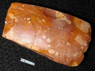 5400j:a: Extrem Selten Steinbeil Steinzeit Neolithikum Feuerstein Trichterbecher Bild